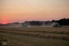 IMG_3979